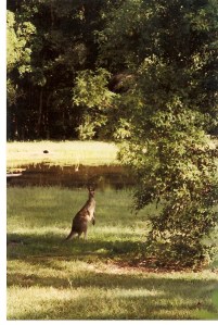 Living at Pomona0013