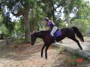 Photos from old computer 115